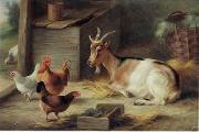 unknow artist poultry  162 painting